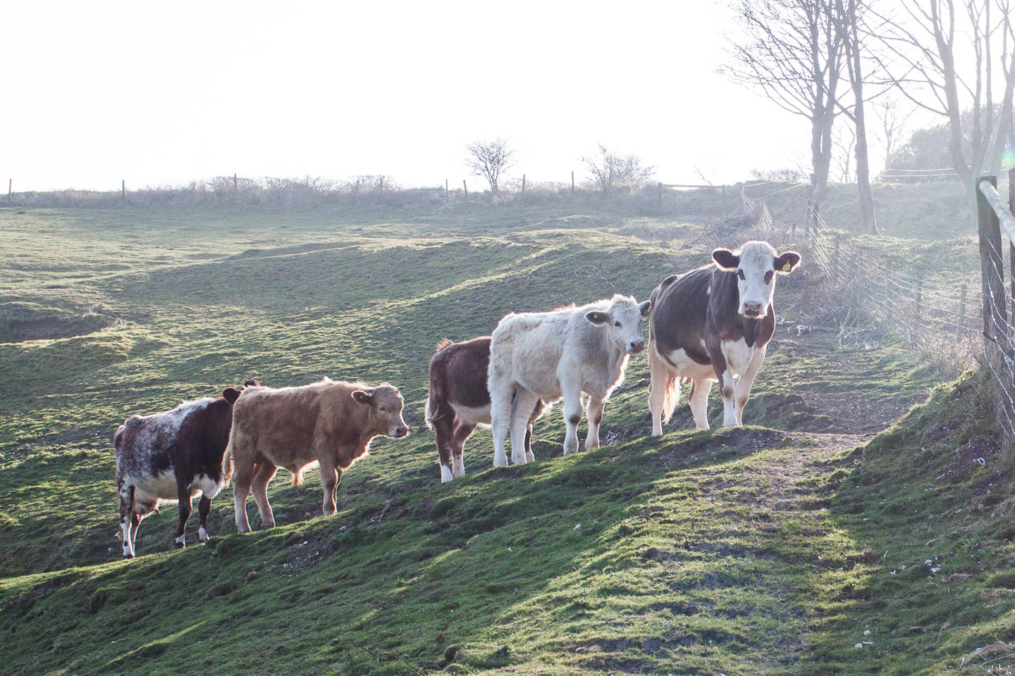 5 Best Outdoor Photography Tips for Beginners