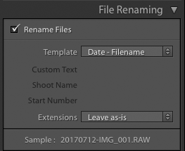screenshot showing how to import photos into Lightroom - file renaming