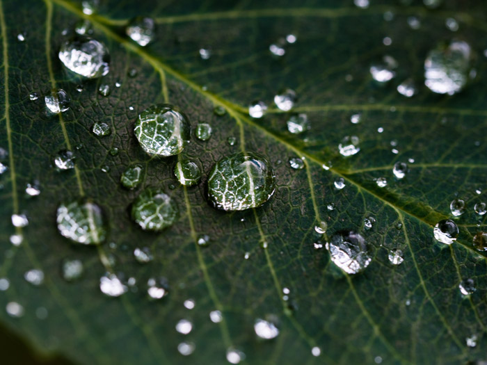 These 13 Cool Photography Themes Will Motivate Your Work
