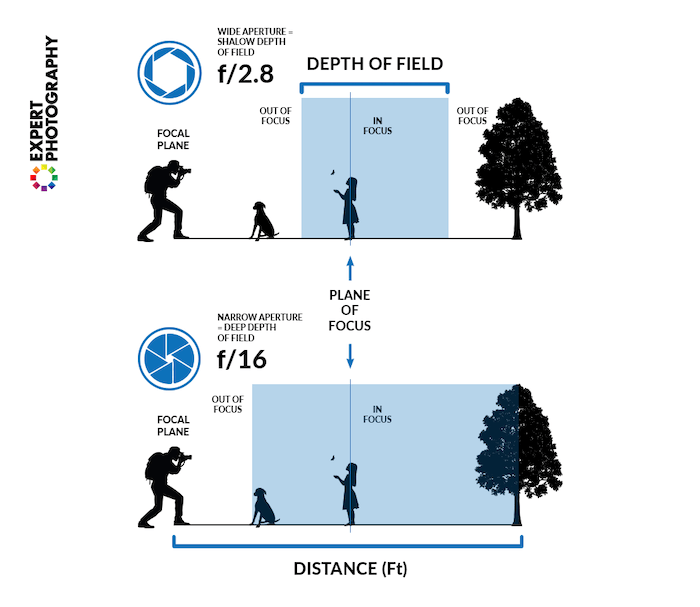 How to Understand Your Camera Settings (Perfect Exposure)