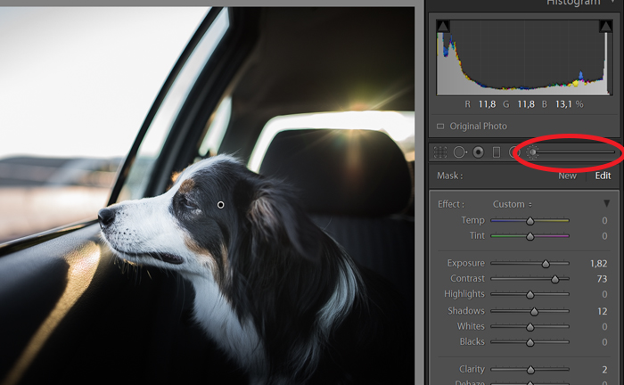 How to Fix Overexposed Photos (Easy Steps)