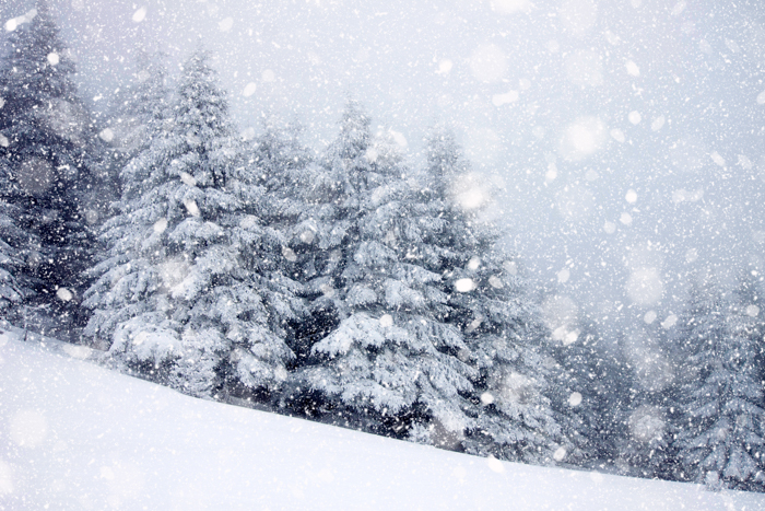 14 Snow Photography Tips for Wonderful Winter Photos