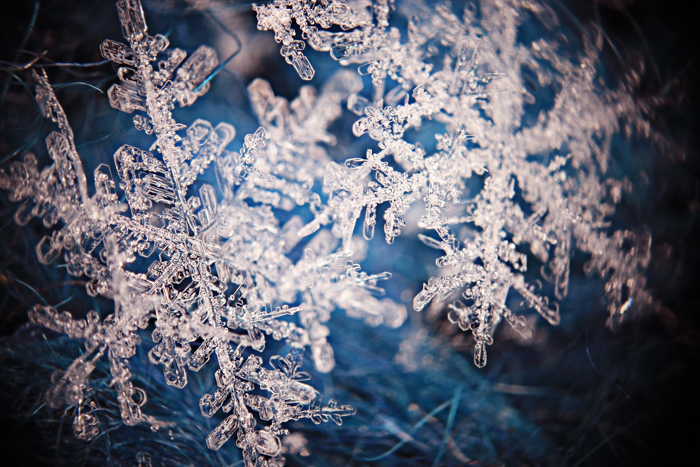 Snowflake Camera How to Shoot Snowflake Photography (Stunning Macro Snowflakes)