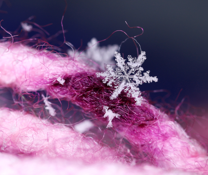 Snowflake Filter Camera How to Shoot Snowflake Photography (Stunning Macro Snowflakes)