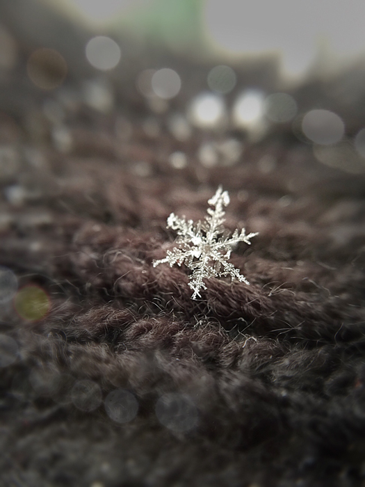 Snowflake Camera How to Shoot Snowflake Photography (Stunning Macro Snowflakes)