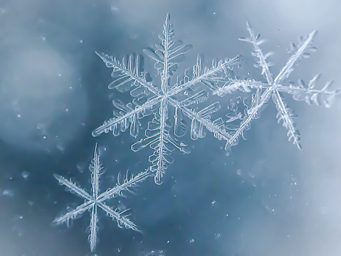 Snowflake Camera How to Shoot Snowflake Photography (Stunning Macro Snowflakes)