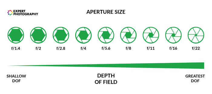Master the Exposure Triangle with Aperture, Shutter Speed, ISO