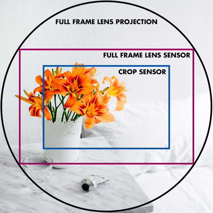 A diagram explaining camera sensor size