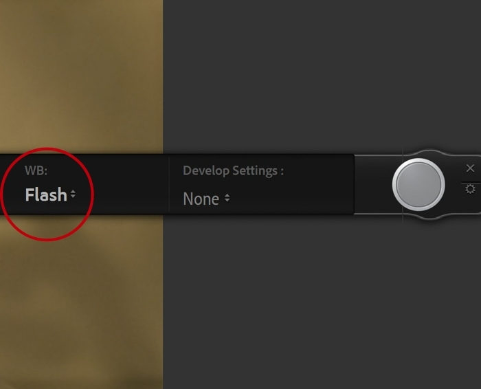closeup of Lightroom tethering white balance