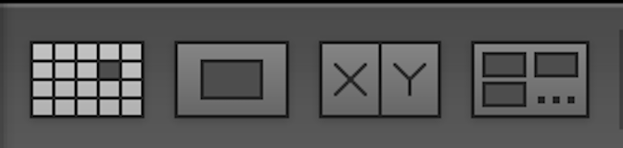 grid view single image view comparison view survey view