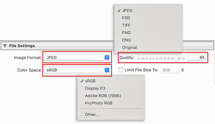 Screenshot of File Settings dialog box for Lightroom export settings