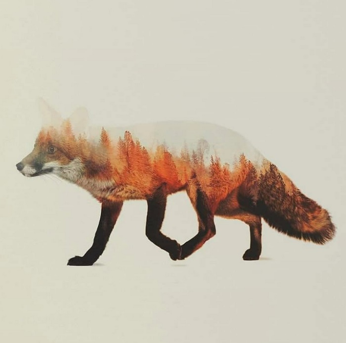 Compocity Image 7 Composite Image Ideas for Creative Composite Photography