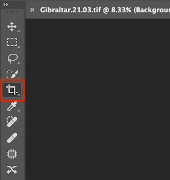 An open graphics editor with a project, and a highlighted element in the top left corner.