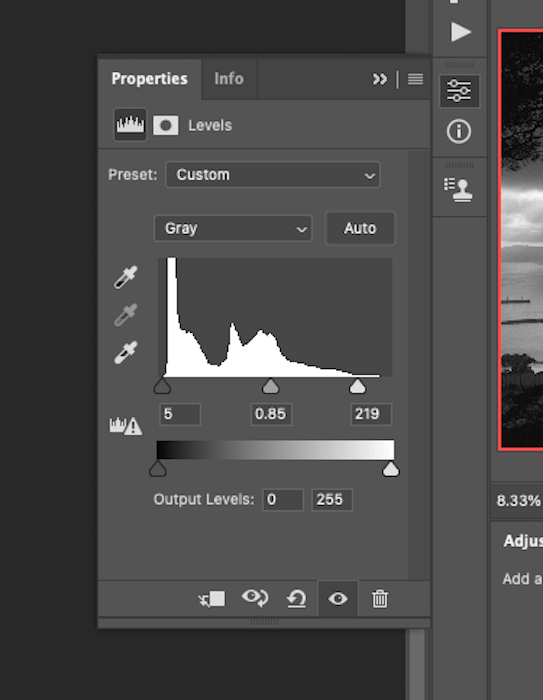 A photo editing software, showcasing a custom color palette and a histogram for visual analysis.