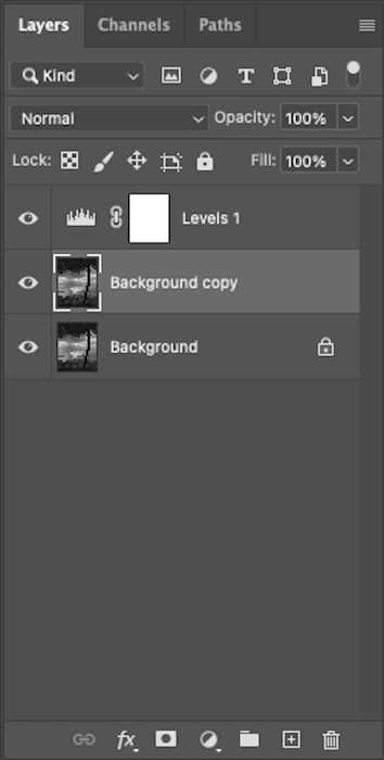 A photo editing application with its user interface, featuring a workspace in gray scale with various tools and panels visible on the screen.