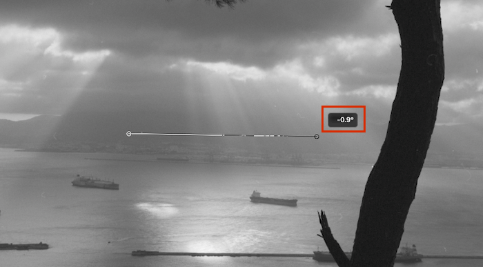 A tree by the edge of a high cliff, overlooking an ocean sunset.