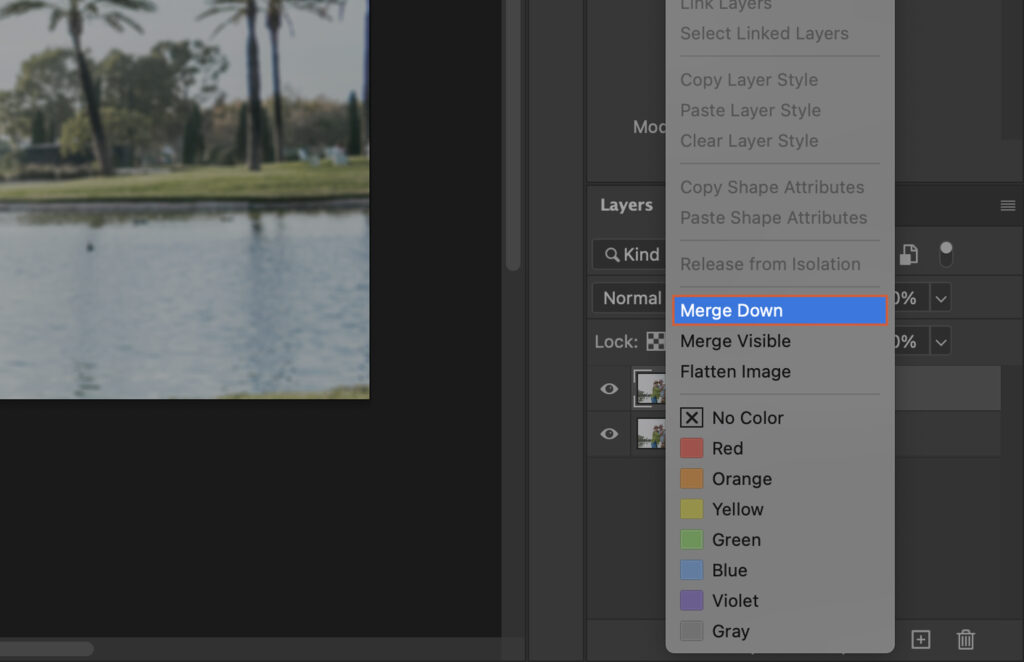 A photo editing software, with various adjustments and settings visible on the interface.
