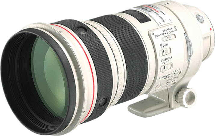 Canon RF 100-300mm F/2.8L IS USM