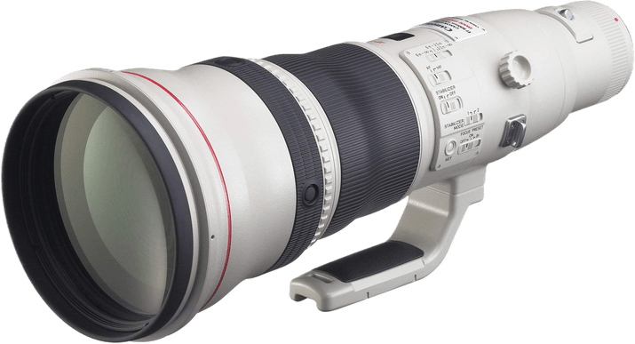 Canon RF 800mm F/5.6L IS USM