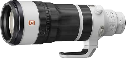 Sony FE 100-400mm F4.5 GM OSS