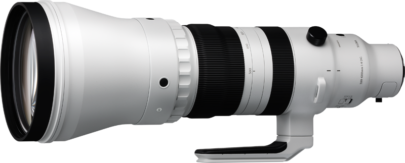 Sigma 300-600mm F4 DG OS Sports