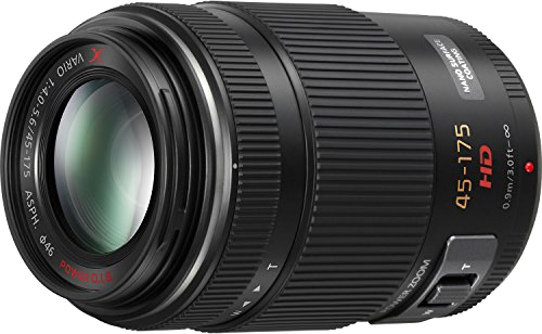 Panasonic LUMIX G X VARIO PZ 45-175mm f/4.0-5.6 ASPH. POWER O.I.S. (H-PS45175)