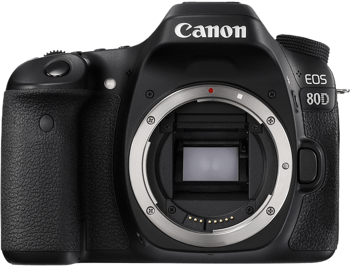 Canon EOS 80D Specs and Scores