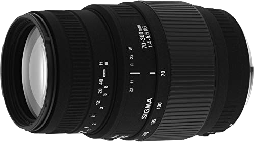 Sigma 70-300mm F/4-5.6 DG Macro