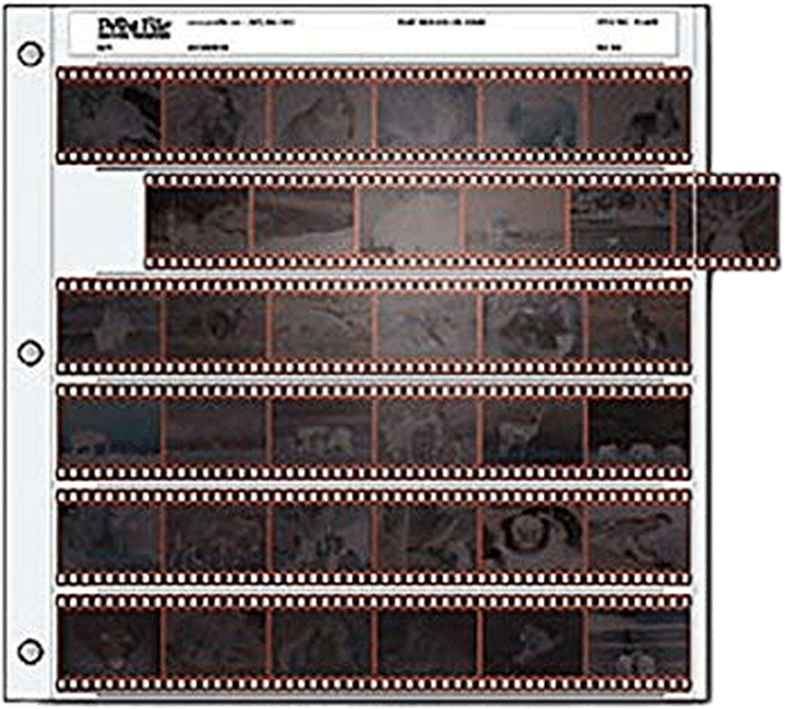 35mm Negative Pages Pack of 25
