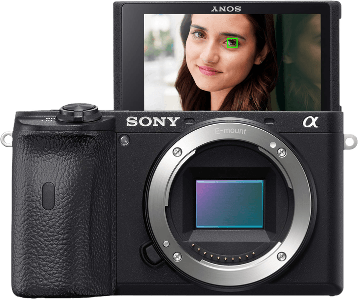 Sony a6600 Specs and Scores