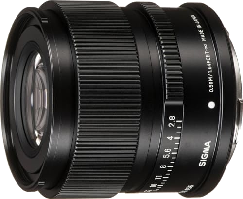 Sigma 90mm F/2.8 DG DN | C