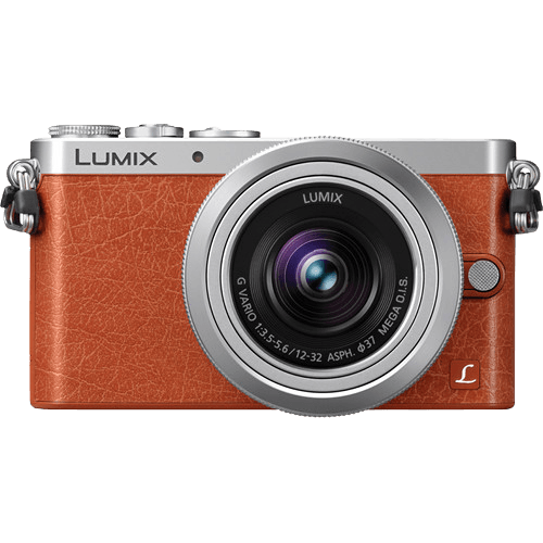 Panasonic Lumix DMC-GM1