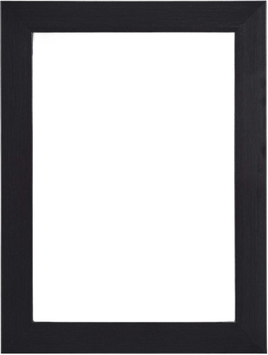 Amazon Basics Picture Frame