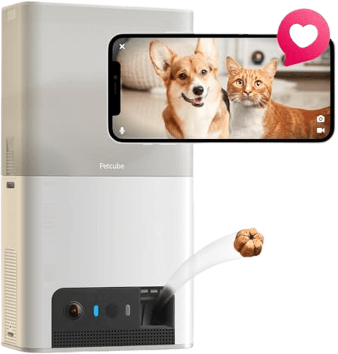 Petcube Bites 2 Lite